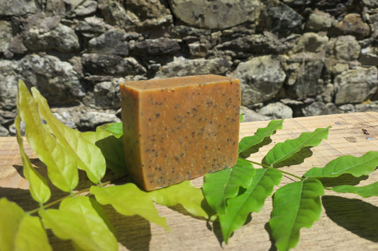 3 - Savon AMAPOLA - Exfoliant - Lemongrass Patchouli graines de pavot