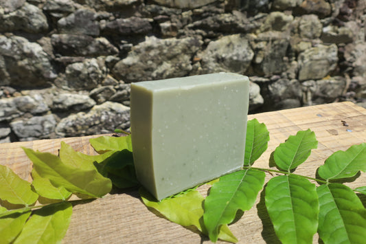 2 - Savon ARCILLA ~ Argile verte, Tea Tree et Cèdre